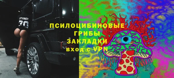скорость mdpv Белокуриха