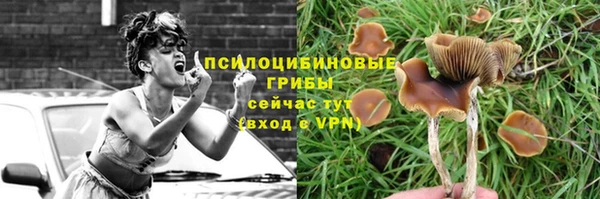 гашик Беломорск