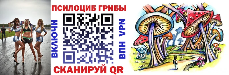 Псилоцибиновые грибы прущие грибы  как найти   Бутурлиновка 