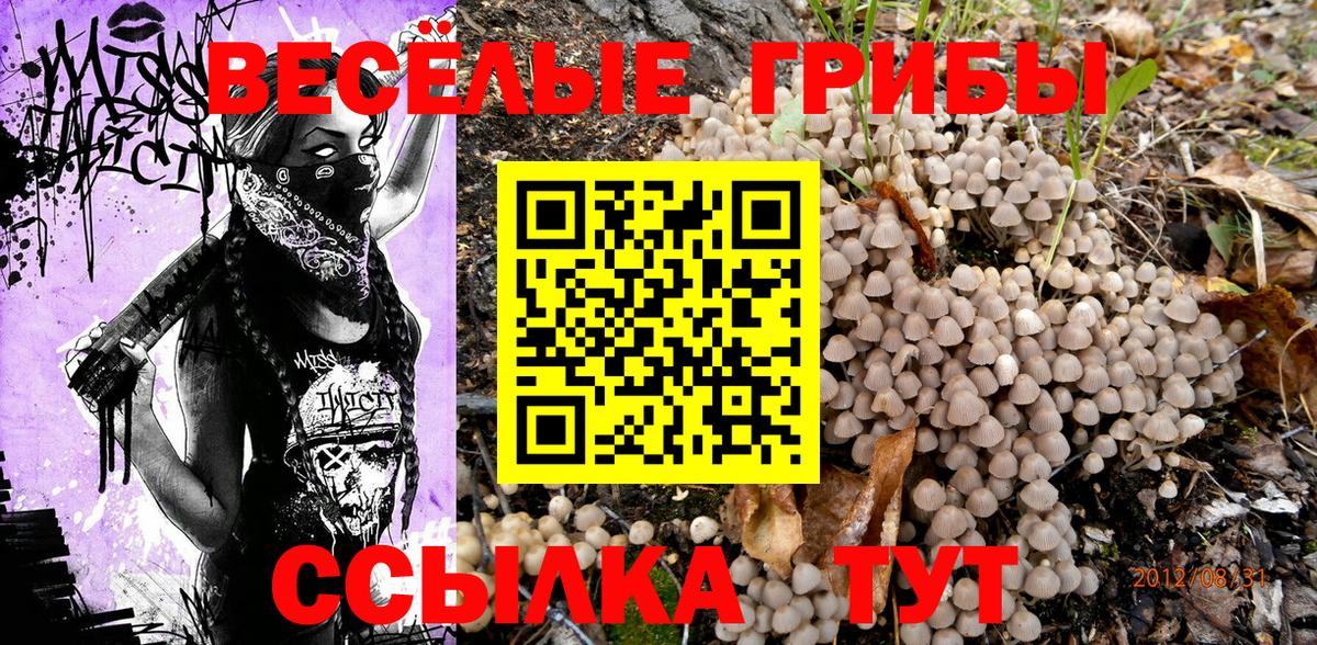 Псилоцибиновые грибы MAGIC MUSHROOMS  Вход с VPN  Псилоцибиновые грибы Psilocybine cubensis  Бутурлиновка 